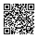 QR WMF LINEO MILCHAUFSCHAEUMER