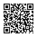 QR SIGV 504 HALBSCH HAFT KURZ M