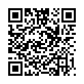 QR SIGV 503 HALBSCH HAFT KURZ L