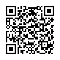 QR PEHA-INSTRUM IRISSCHERE GERADE