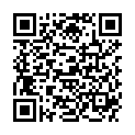 QR HEINE BATTERIEGRIFF BETA 2