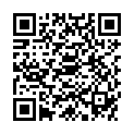 QR LAEDI HANDGEL SCHIENE S LINKS