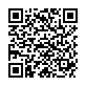 QR VARISMA MIKROFASER SCHENKE