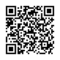 QR SPAGYRIK FERRUM PHOSPHORICUM