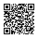 QR SPAGYRIK MELISSA OFFICINALIS