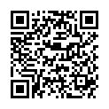 QR SIGV 503 WADEN PL A-D KURZ M