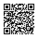 QR SIGV 701 HALB HAFT KU SILVE L