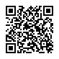 QR STAUDT MANSCHETTEN KNIE M