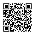 QR VT IMPULS AD KKL3 I P/S OFS SC