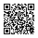 QR VT IMPULS AD KKL3 VI P/S OFS S