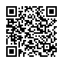 QR Spagyrik Berberis Vulgaris 500мл