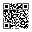 QR Spagyrik Symphytum 500мл