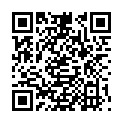 QR VT IMPULS AD KKL2 II N/S OFS S