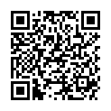 QR BIOWASHBALL WASCHKUGEL