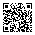 QR SCHIEBLER PARA EPI SPANGE M