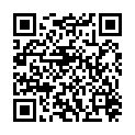 QR MIKROS HANDGELST NORM LI 16-19