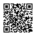 QR UNISPLINT NOTFALLSCHIENE 39CM