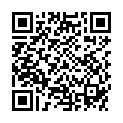 QR DALE BAUCHBDG 3TLG L VELC 411