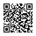 QR XYLIX100 DISP KAUGUMMI MINT