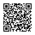 QR PHYTO SANDELHOLZ TH/OEL