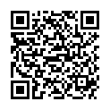 QR HEIDAK TINCT GINKGO BILOBA