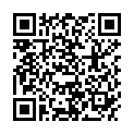 QR PHYTOMED SCH TRITURAT NR22 D12