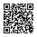 QR AURORA SPAG ARCHANGELICA COMP