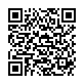 QR HOLLIST INC ABLEITSCHL RAPID