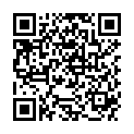 QR PERLES DE PEAU BORRETSCH NACHT