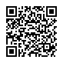 QR BASLERDYBLI KIRSCH 41% FL