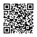 QR BORT HANDGELST SCHIE RE S SCHW