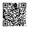 QR KAWE SCHIMMELBUSCH METALLS