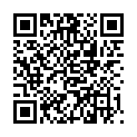 QR BOERLIND SYST ABS AUGENKONT FL