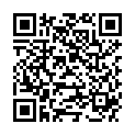 QR AURORA SPAG ECHINACEA