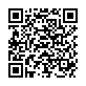 QR AURORA SPAG SAMBUCUS NIGRA