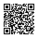 QR DIXA MATEBLAET GRUEN DAC GESCH