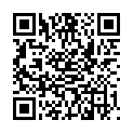 QR BOERLIND SYST ABS REINIGUNG