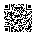 QR PHYTO SKINFIT  NR 04 TB