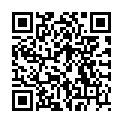 QR PREISELVIT PREISELBEER KONZENT