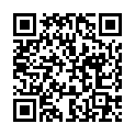 QR HOLLIST AD PFLASTER-ENTFERN