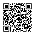 QR WEL STIBIUM METALLICUM PRA D30