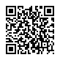 QR SCHMIDT PFERDE SALBE TOPF