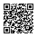 QR WELLSTONE MASSAGEROLLER AVENTU