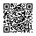 QR LABULIT OBERFLAECHENNETZ