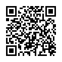 QR DIEM LESEBR CHURCHILL BRAU 1.0