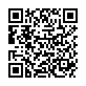 QR H MELISSAE FOL CONC PHEUR