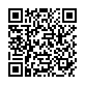 QR SPAGYROS GINKGO BILOBA URTINKT