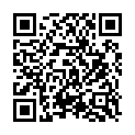 QR PHYTOMED SCH NR11 SILICEA D6