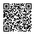 QR LAMPE BERGER PARF POMME VANI