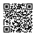 QR MELICARE STILLHUET BIENENWACHS